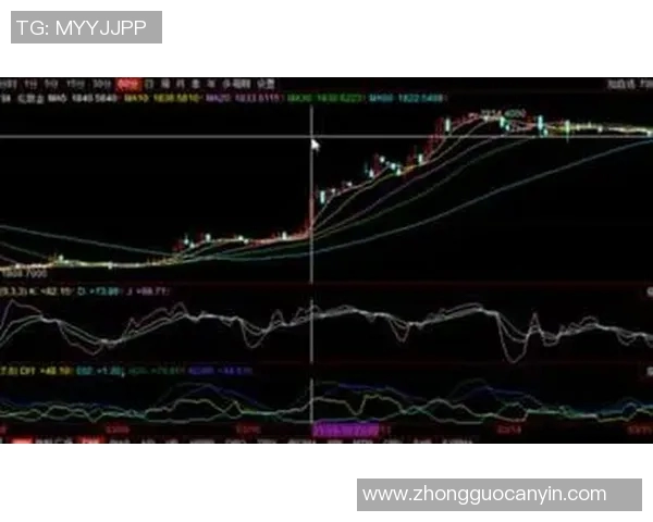 杭州排球队防守策略解析与战术创新探讨